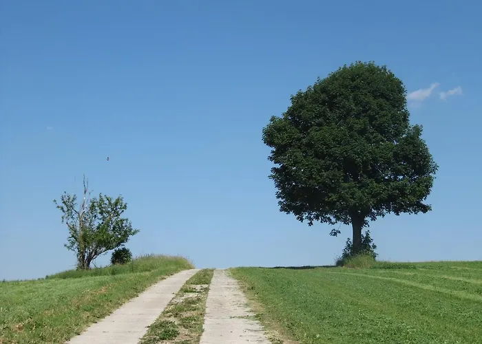 فندق Seiffener Hof سيفن