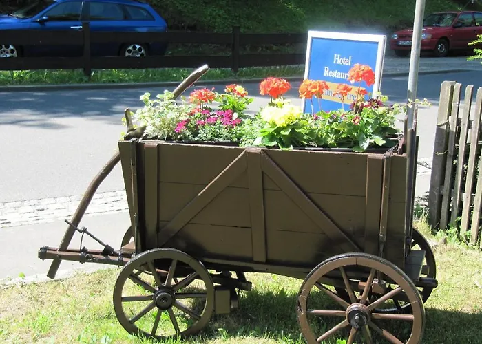 فندق Seiffener Hof سيفن