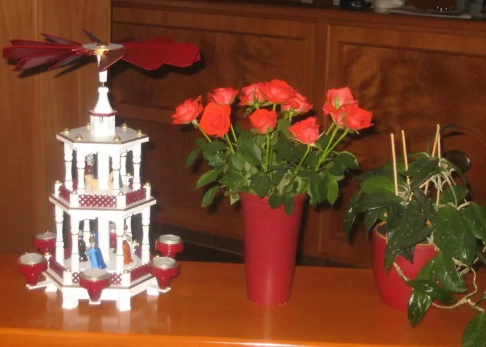 فندق Seiffener Hof 3*